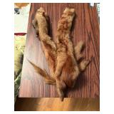 2 mink stole  bedroom 2