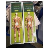 2pk dissare rapid neuropathy/body relief cream