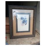 Large hummingbird pic