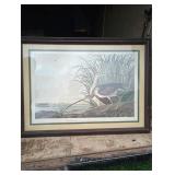 Long billed curlew framed print