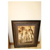 Framed Picture of Trees