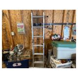 Werner MT-16 Telescoping Ladder