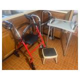 Mobility and Support Aid Set