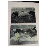 Robert Dawson Plaster Wall Art - Horses