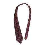 Giancarlo Collection Burgundy Striped Silk Tie (C)