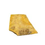 Fossilized Plant Impression in Shale (U)