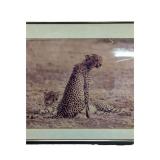 Framed Photography- Cheetah Couple (P)