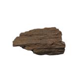 Petrified Wood Specimen