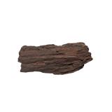 Petrified Wood Branch Fragment (U)