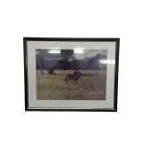Framed Photography-Zebra Mother and calf (P)