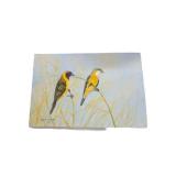 Vintage The birds of Africa, Painting (P)