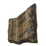Tigerï¿½s Eye Polished Rough Specimen (U)