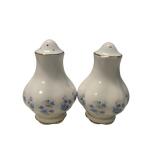 Vintage Floral Porcelain Salt & Pepper Shakers (K)