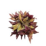 Planter with Artificial Floral Arrangement (A)