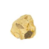Fossilized Leaf Imprint in Sandstone (U)