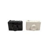 Camera salt and pepper shakers