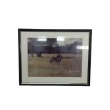 Framed Photography-Zebra Mother and calf (P)