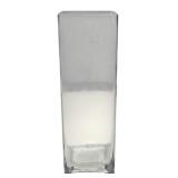 Clear Square Vase