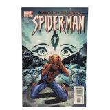 Peter Parker Spider-Man #48 (2002)
