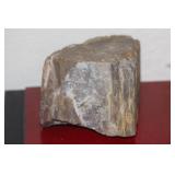 Petrified Wood Fossil Piece