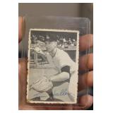 Tom Haller photograph