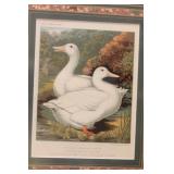 Antique Steel Engraving