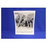 Photograph of Elephants