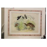 Antique Steel Engraving