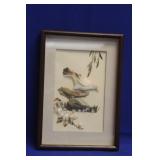 Vintage Chinese Bird Art
