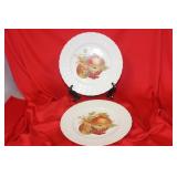 Pair of Hutschenreuther Plates