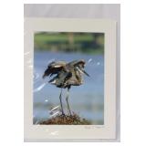 A Signed Bird Photograph