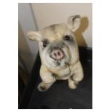 Japan Kamar Mohair Pig