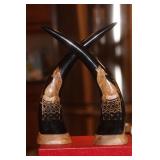 Pair of Well Carved Buffalo Horns