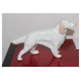 An Irish Bellek Dog or Pointer