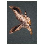 Ceramic Eagle Wall Hanger