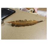 Antique Feather Pen with Nib