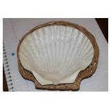 Real Shell Dish