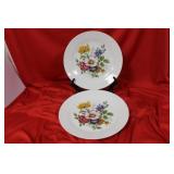 A Pair of Hutschenreuther China Floral Plates