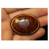 A Faux T o r t o i s e Shell? Brooch