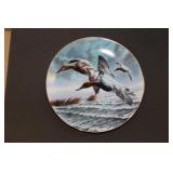 Collectable Plate 'Canvasbacks'