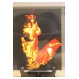 Photograph of a Nude Stereotype