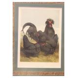 Antique Steel Engraving