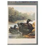 Antique Steel Engraving