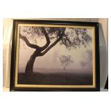 A Framed Print