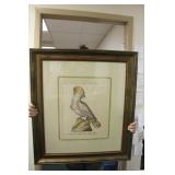 A Framed Print of a Parrot