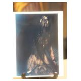 Photograph of a Nude Stereotype