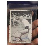 Tom Haller photograph