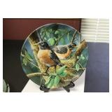 A Collector's Plate by Kevin Daniel