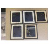 Lot of 5 vintage song hits slides