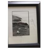 Signed Giles Norman Framed Photograph